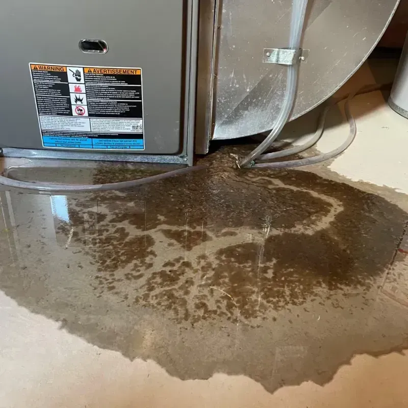 Appliance Leak Cleanup in South Bloomfield, OH